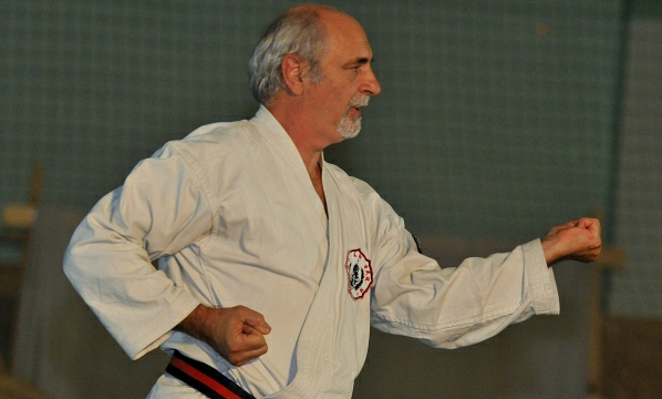 Racibórz: pokazy mistrzów podczas festiwalu Budo Gala 2013 [ZDJĘCIA]