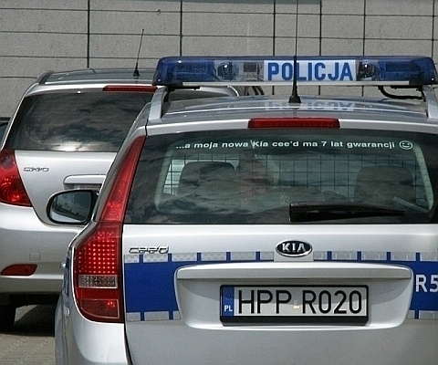 Wodzisław: policjanci zlikwidowali dwie duże „dziuple samochodowe”