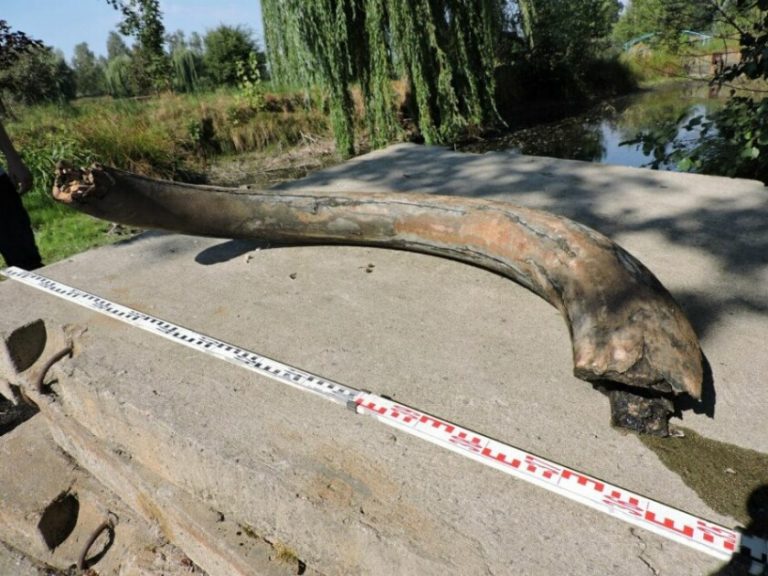 Wodzisław: Sensacyjne odkrycie archeologiczne