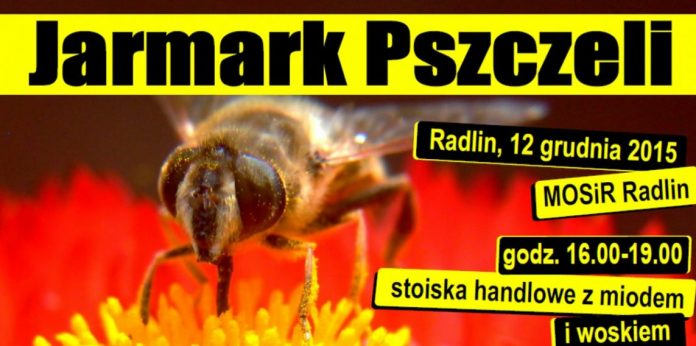 jarmark-1160x866-j.jpg