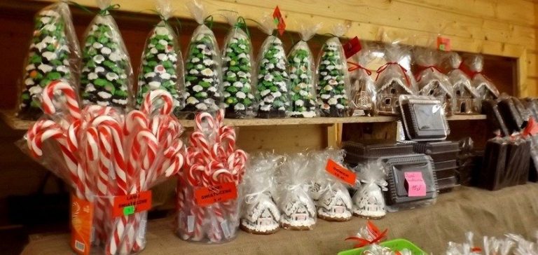 Z wizytą na Wodzisławskim Jarmarku Bożonarodzeniowym – cz. 3