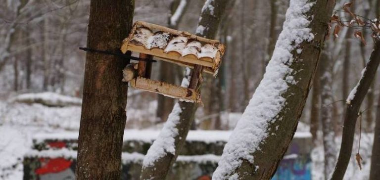 Na Trzech Wzgórzach pojawiły się karmniki dla ptaków