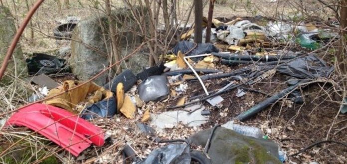 wysypisko_sm.jpg Fot. Straż Miejska Wodzisław Śl.