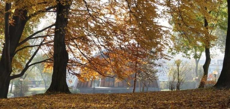 Wodzisław: Miasto przeznaczy 7,5 mln zł na dodatkowe inwestycje
