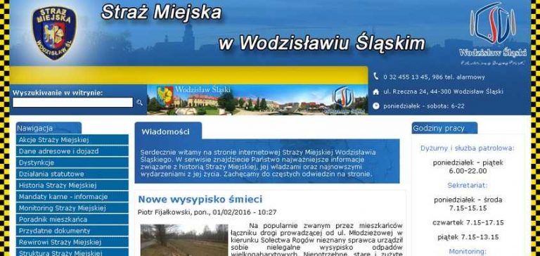 Straż Miejska w Wodzisławiu: 273 interwencje w 2 tygodnie
