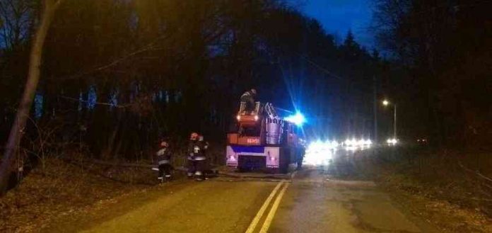 Fot. KPP Wodzisław Śl.