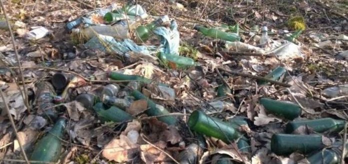 Fot. Straż Miejska Wodzisław Śl.