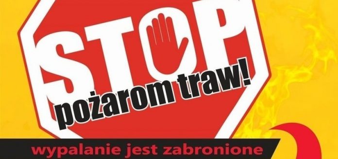 Fot. Straż Pożarna Wodzisław Śl.