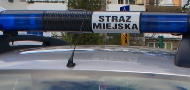 Szukasz pracy? Dołącz do Straży Miejskiej w Wodzisławiu Śl.