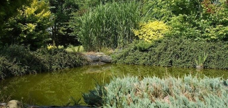 Wybrano najpiękniejsze ogrody Gminy Mszana 2016