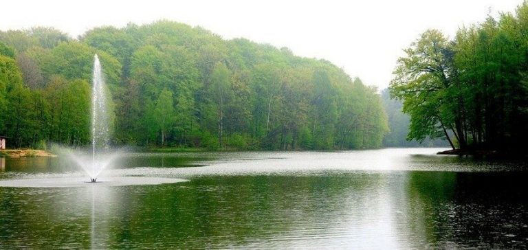 Ocena jakości wody w „Balatonie”. Czy woda spełnia wymagania?