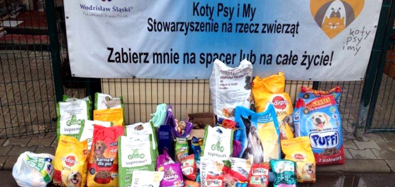 „Razem możemy więcej” dla psiaków