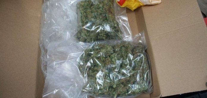 KPP Wodzisław: Narkotyki - marihuana. Zatrzymany wodzisławianin