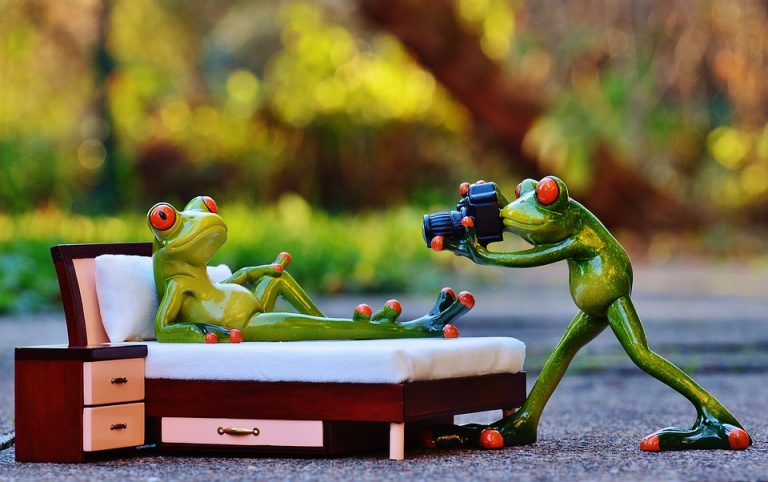 Konkurs fotograficzny „Dziupli”