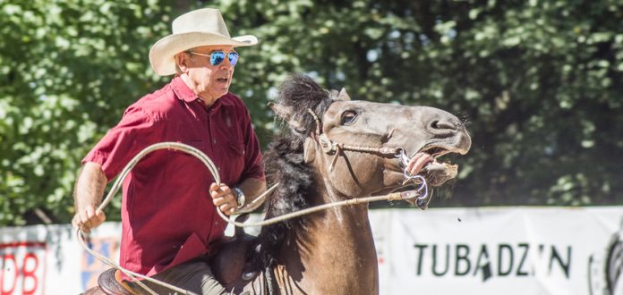 XIX Jeździeckie Mistrzostwa Gwiazd Lewada Art Cup w Zakrzowie