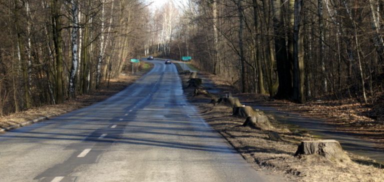 Mszana: Gmina zajmuje się budową chodników w Gogołowej
