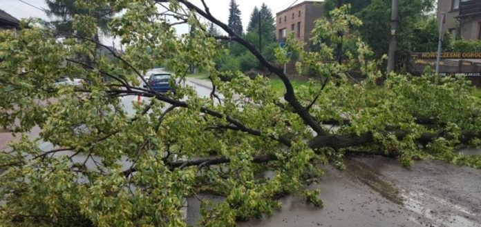 nawalnica_wodz2.jpg Wodzisław, nawałnica: Miasto liczy straty po burzy. Statystyka Straży Pożarnej
