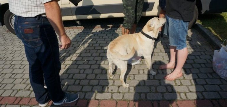 Najcieplejsze Miejsce Na Ziemi 2016 nie bez wpadek. Są zatrzymani za marihuanę