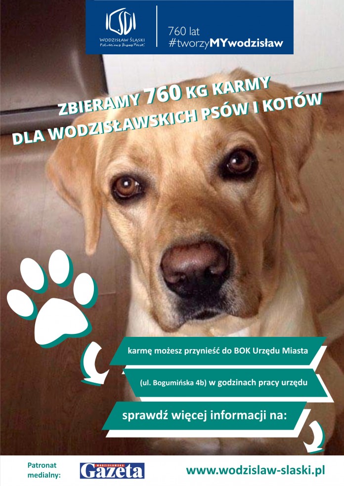 UM Wodzisław: Rekordowa zbiórka karmy dla bezdomnych psów i kotów