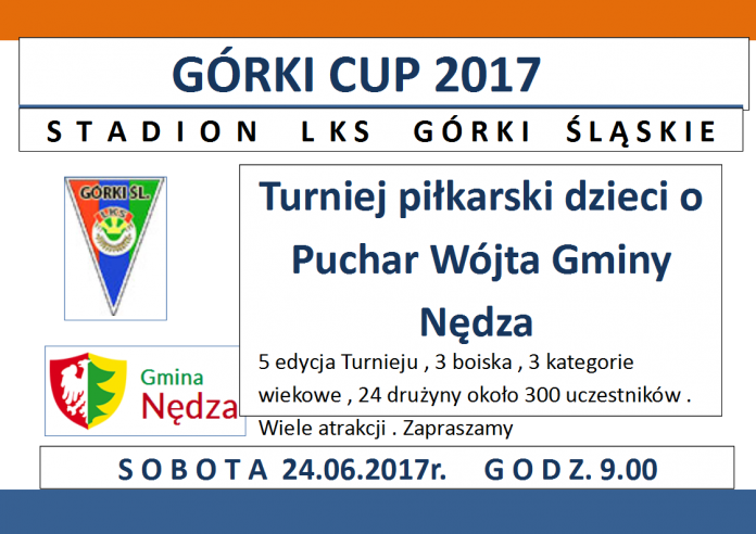 gorki cup 2017