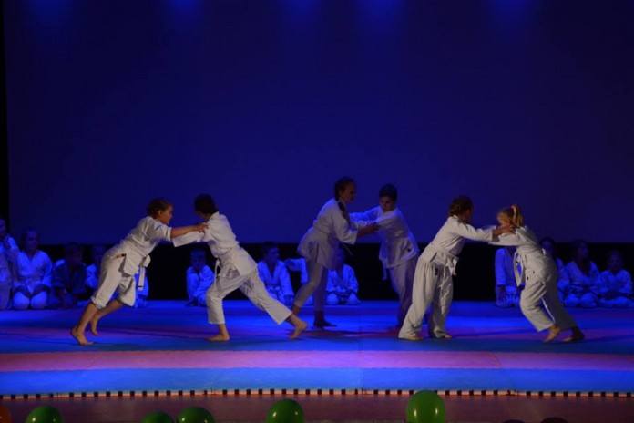 Wodzisław, WCK: II Gala Judo Kids