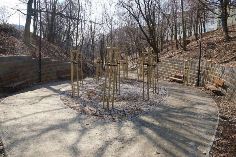 Nowe tereny zielone w Wodzisławiu Śląskim